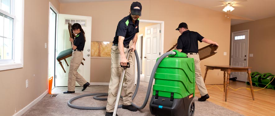 Wellington, FL cleaning services